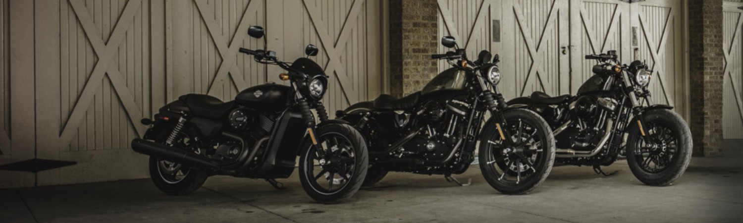 2021 Harley-Davidson® Motorcycle for sale in Cycle City Maui, Wailuku, Hawaii